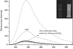 以香豆素為母核的半胱氨酸熒光探針及其應(yīng)用