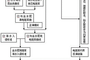 綜合監(jiān)測(cè)海水入侵砂巖含水層方法