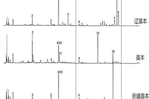 不同基原藁本藥材UPLC特征圖譜的構(gòu)建方法及其鑒別方法