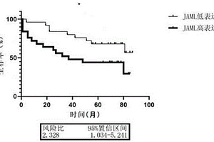連接粘附分子樣蛋白JAML在結(jié)直腸癌中的應(yīng)用