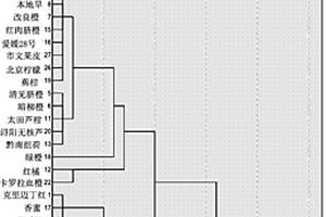 基于21種特征成分含量的柑橘品種鑒別和系統(tǒng)分類的方法