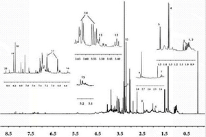 海馬1H?NMR指紋圖譜的構建方法和用途