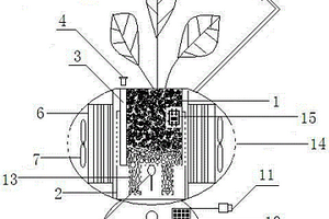 高效率凈化室內(nèi)空氣的智能盆栽