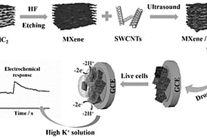 基于MXene-SWCNTs納米復(fù)合材料修飾的GCE電極