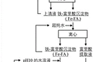 從地表水和/或土壤中分離和提取富里酸的方法