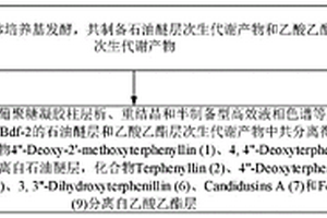 共生真菌單體化合物快速分離制備方法和應(yīng)用