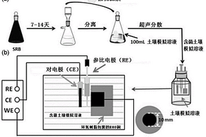 微生物腐蝕電子轉(zhuǎn)移機(jī)制的研究方法及其應(yīng)用