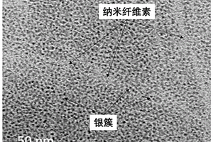納米纖維素基熒光銀納米簇及其制備方法與應(yīng)用