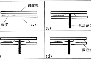 基于聚甲基丙烯酸甲酯與C切鈮酸鋰晶體夾層芯片的光誘導(dǎo)微液滴持續(xù)生成轉(zhuǎn)移方法