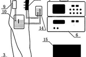 具有壓力、溫度調(diào)節(jié)及生物電信號輸出的人體模擬裝置