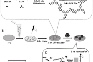 共價(jià)有機(jī)材料薄膜及其制備方法與應(yīng)用