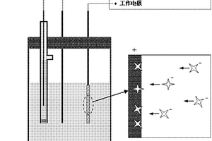 電增強(qiáng)分子印跡固相微萃取方法