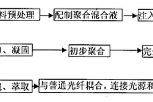 多孔塑料光纖探頭及其制備方法