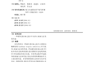 藻紅蛋白標記抗STI抗體、制備方法及其用途