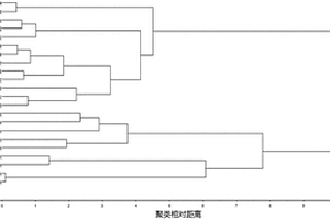 疊鞘石斛的鑒定方法