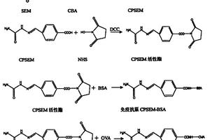 氨基脲衍生物及其單克隆抗體與應(yīng)用