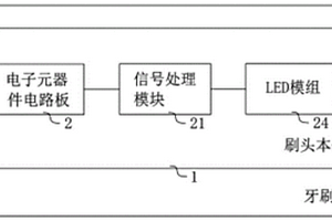 牙刷刷頭及牙刷