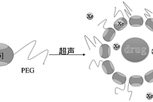 可以遞送疏水性藥物的超極化<Sup>129</Sup>Xe磁共振分子探針