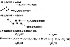 表面修飾胺基的磁性納米材料及其制備方法和應(yīng)用