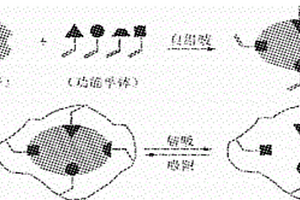 分子印跡吸附萃取攪拌棒的制備方法及其應(yīng)用