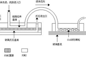 多通道微流控-固相萃取-質(zhì)譜聯(lián)用裝置及制備方法