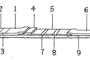 雙聯(lián)法便潛血快速診斷層析試紙