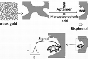 基于適配體修飾的納米多孔金的雙酚A傳感器及方法