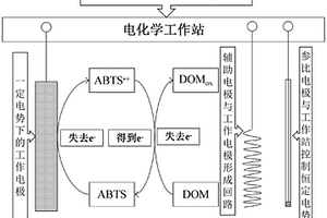 快速測(cè)定溶解性有機(jī)物電子轉(zhuǎn)移能力的方法