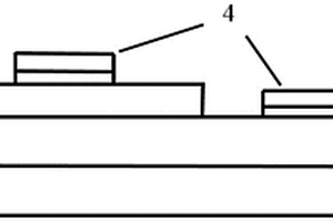 Mg摻雜增強(qiáng)過渡金屬硫化物基可見光探測(cè)器及其制備方法