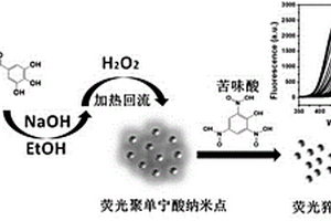 熒光聚單寧酸納米點(diǎn)的制備及應(yīng)用
