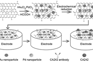 基于石墨烯-金-鈀納米復合材料的胰腺癌腫瘤標志物免疫傳感器的制備