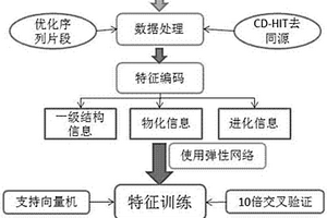 原核蛋白質(zhì)乙?；稽c(diǎn)的預(yù)測(cè)方法