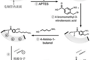 光調(diào)控的用于核酸提取的功能化毛細管及其制備方法與應(yīng)用