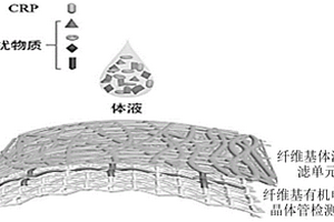 非侵入式一體化纖維基C反應(yīng)蛋白傳感器