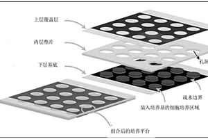 新型細胞培養(yǎng)平臺及其制作方法