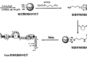 乳酸鏈球菌素修飾的磁性納米粒子的制備方法及應(yīng)用