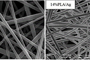 電紡PLLA/Ag抗菌復(fù)合膜的制備方法