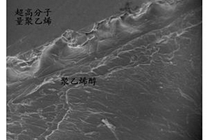 仿生軟骨材料與硬面基底結(jié)合的仿生材料的制備工藝