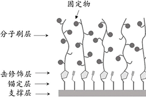 生物傳感三維芯片及其制備方法