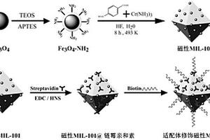 核酸適配體修飾磁性金屬有機(jī)骨架介質(zhì)的制備及應(yīng)用