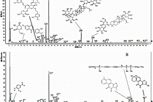 復方血栓通制劑生物活性色譜指紋圖譜的構(gòu)建方法