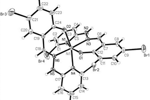 抗癌藥物5?溴水楊醛縮?2?溴?6?肼基吡啶席夫堿鎳配合物及合成方法