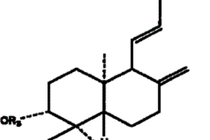 15-亞甲基取代穿心蓮內(nèi)酯衍生物在制備抗乙型肝炎藥物中的用途