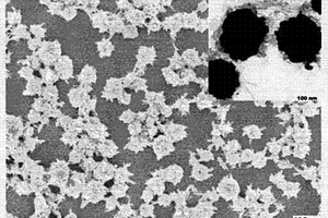 聚合物包覆的納米簇核殼微球的制備方法