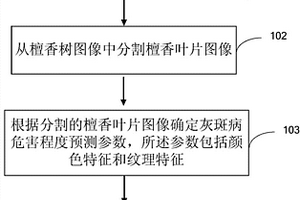 檀香葉片灰斑病危害程度的確定方法和裝置