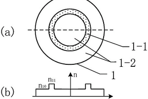 環(huán)形芯光纖SPR傳感器