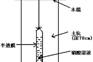 用于提取土壤氣中深部鈾礦化信息的方法