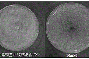 格列本脲在制備用于防治由植物病原菌引起的植物病害的殺菌劑中的用途