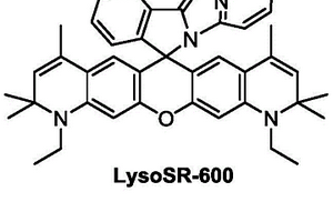 用于溶酶體超分辨熒光成像的自閃熒光染料及其合成方法與應(yīng)用