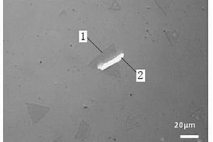 GaSe/MoS<Sub>2</Sub>異質(zhì)結(jié)的制備方法